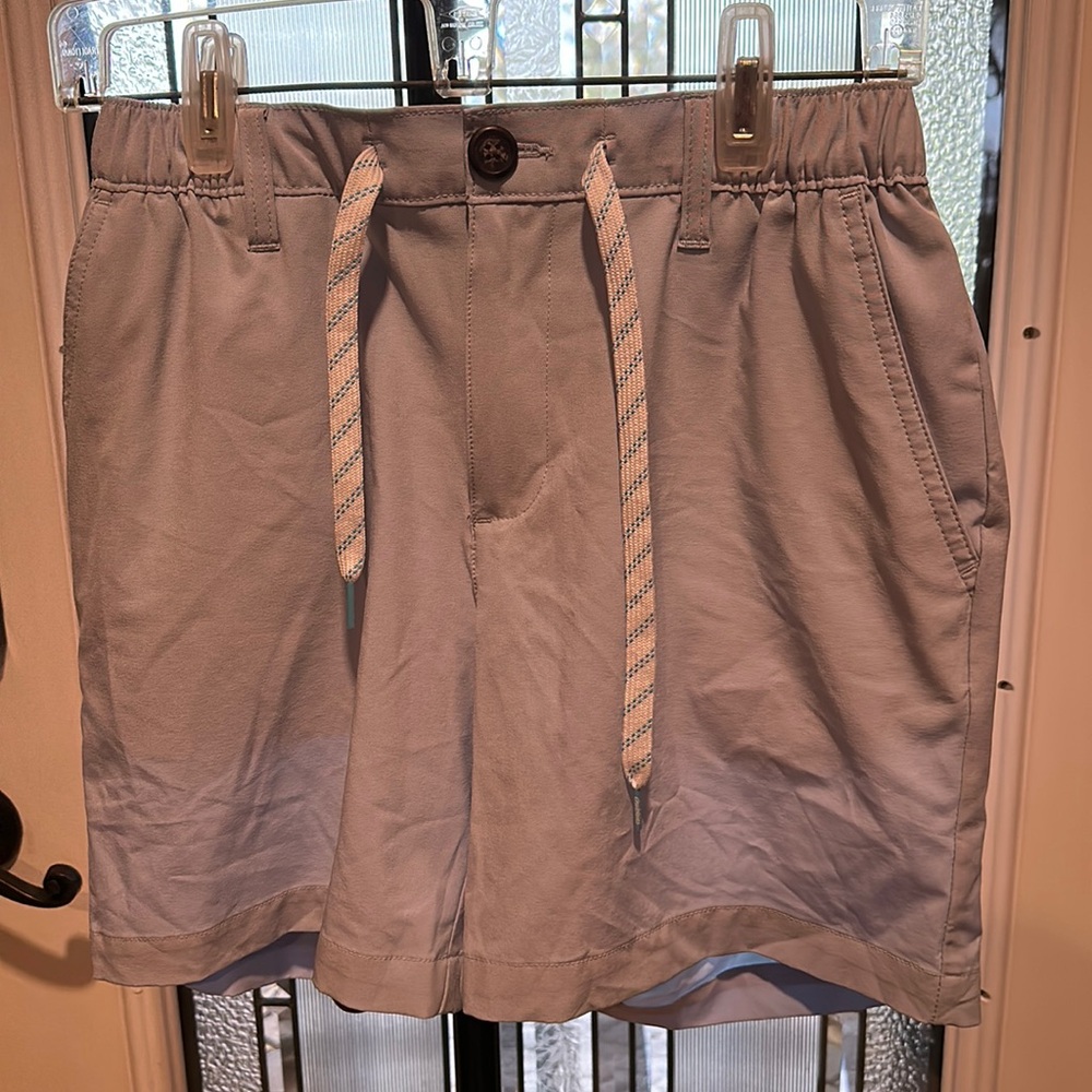 CHUBBIES Mens Shorts Small Light Blue Chino THE ALTITUDES 6”